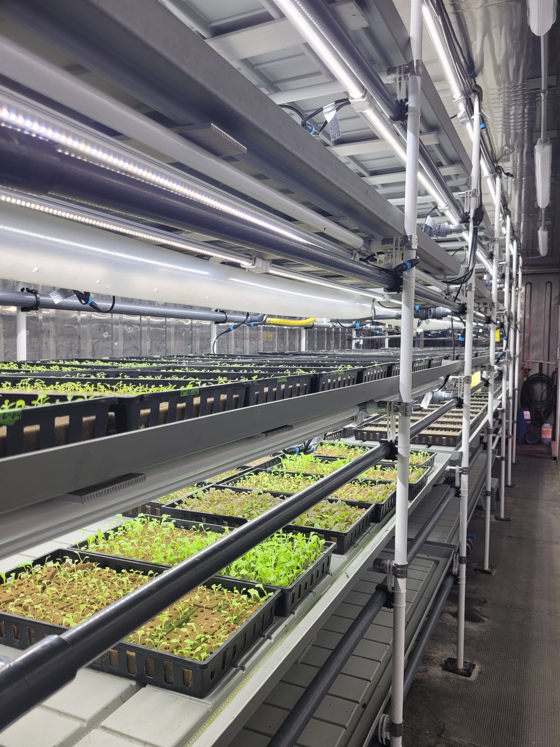 Water manifolds, distribution and quick connectors above the trays